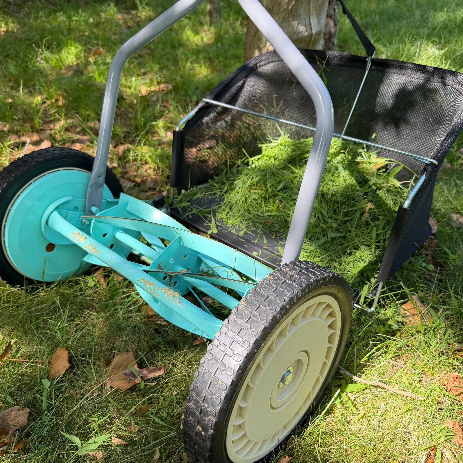 Eco-Friendly Lawn