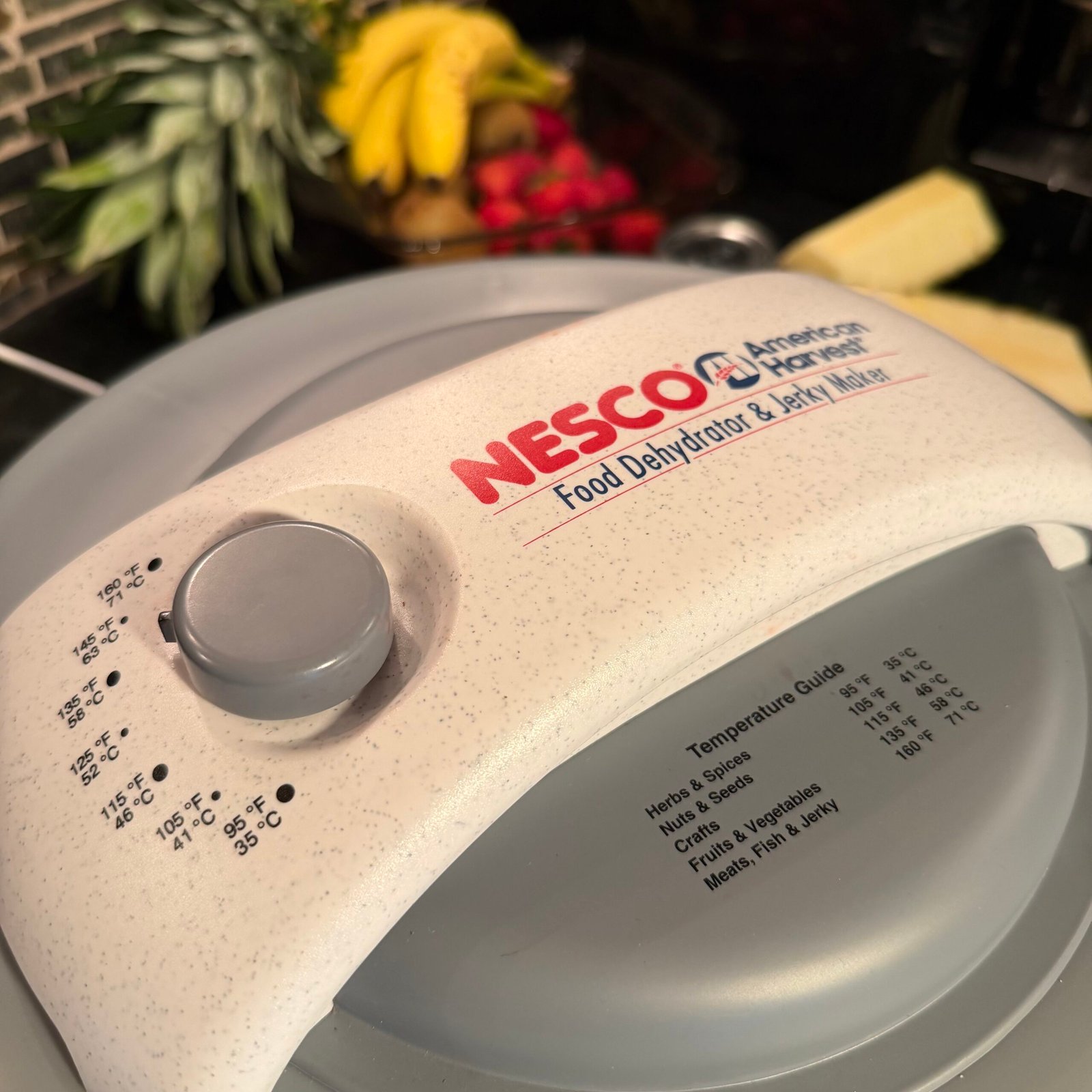 Dehydrate for Healthy Snacks